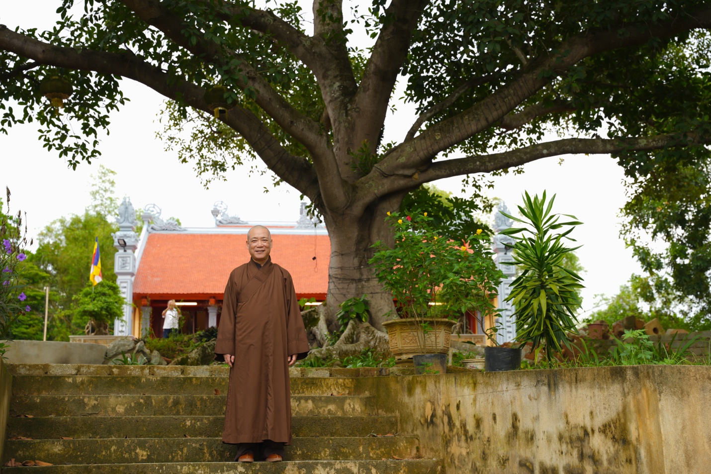 A person standing on stairs under a tree Description automatically generated