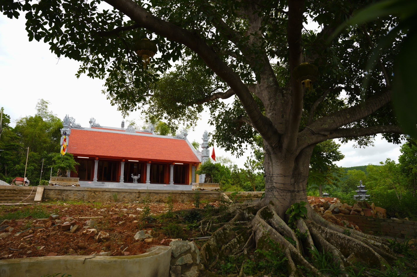 A tree with a red roof and a building with a red roof Description automatically generated