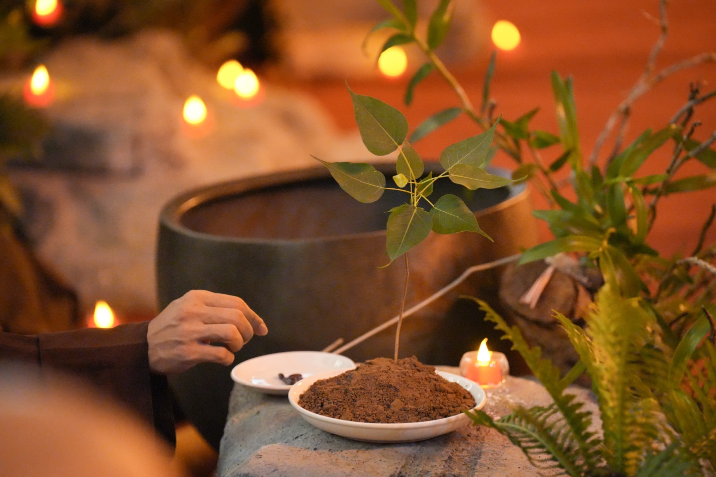 A person eating a plant AI-generated content may be incorrect.