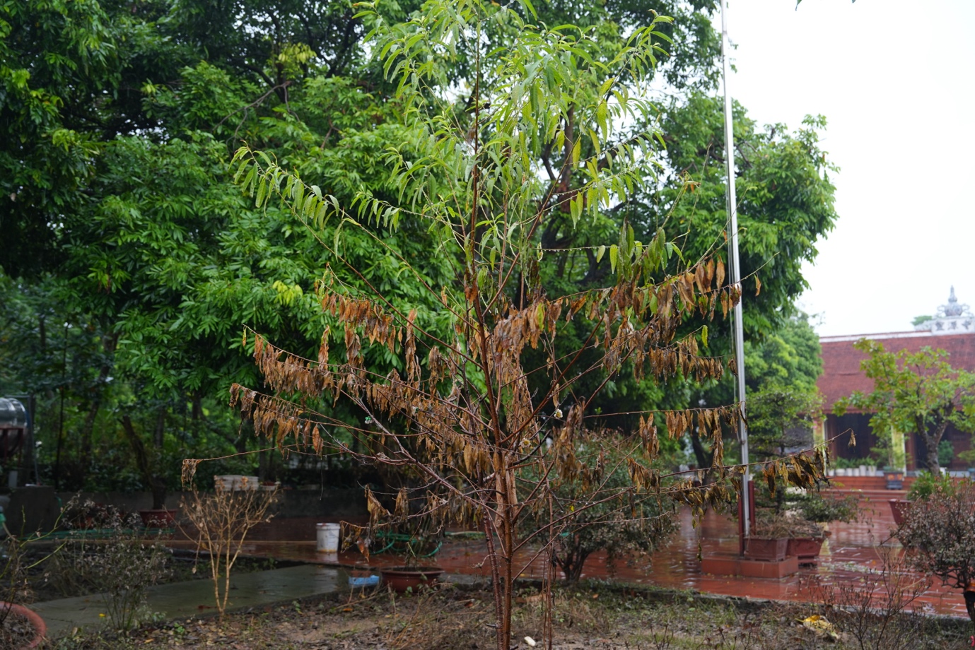 word-image-18235-20.jpeg
