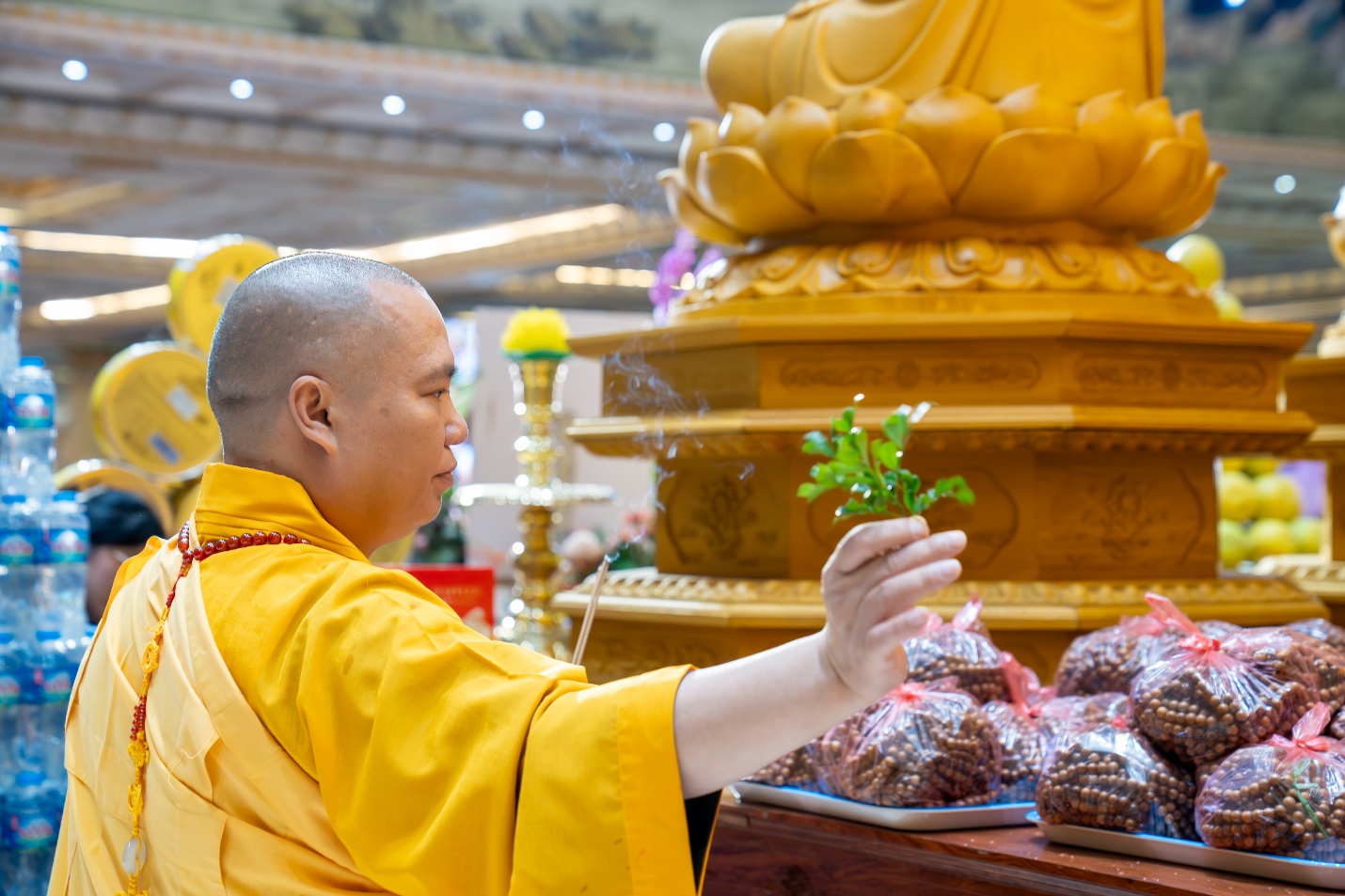 D:\PSTD\16.11 Phap hoi Quán Âm Tam Thời Hệ Niệm\20_11\DSC09325-Enhanced-NR.jpg