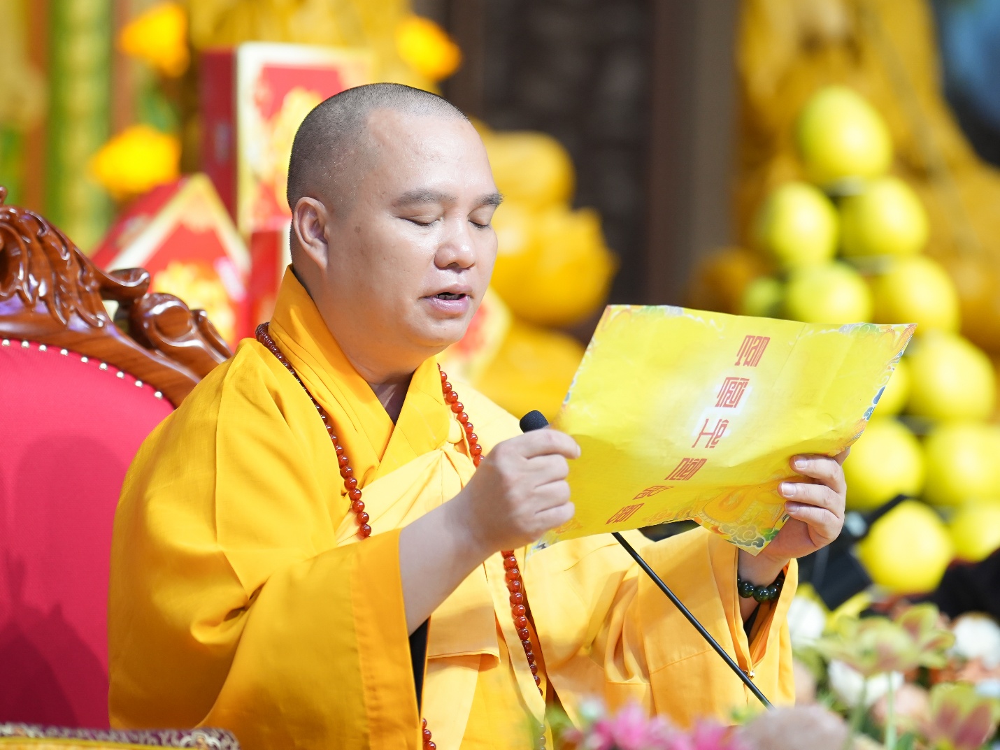 D:\PSTD\16.11 Phap hoi Quán Âm Tam Thời Hệ Niệm\drive-download-20251117T025604Z-1-001\SON00509.jpg