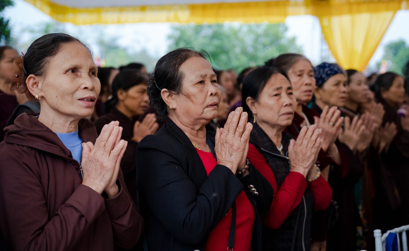 C:\Users\admin\Downloads\ANH TIN 5.3\DSC00645.jpg