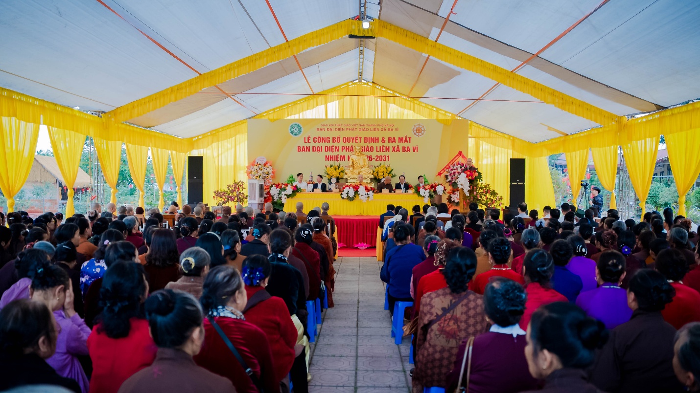 C:\Users\admin\Downloads\ANH TIN 5.3\DSC00791.jpg