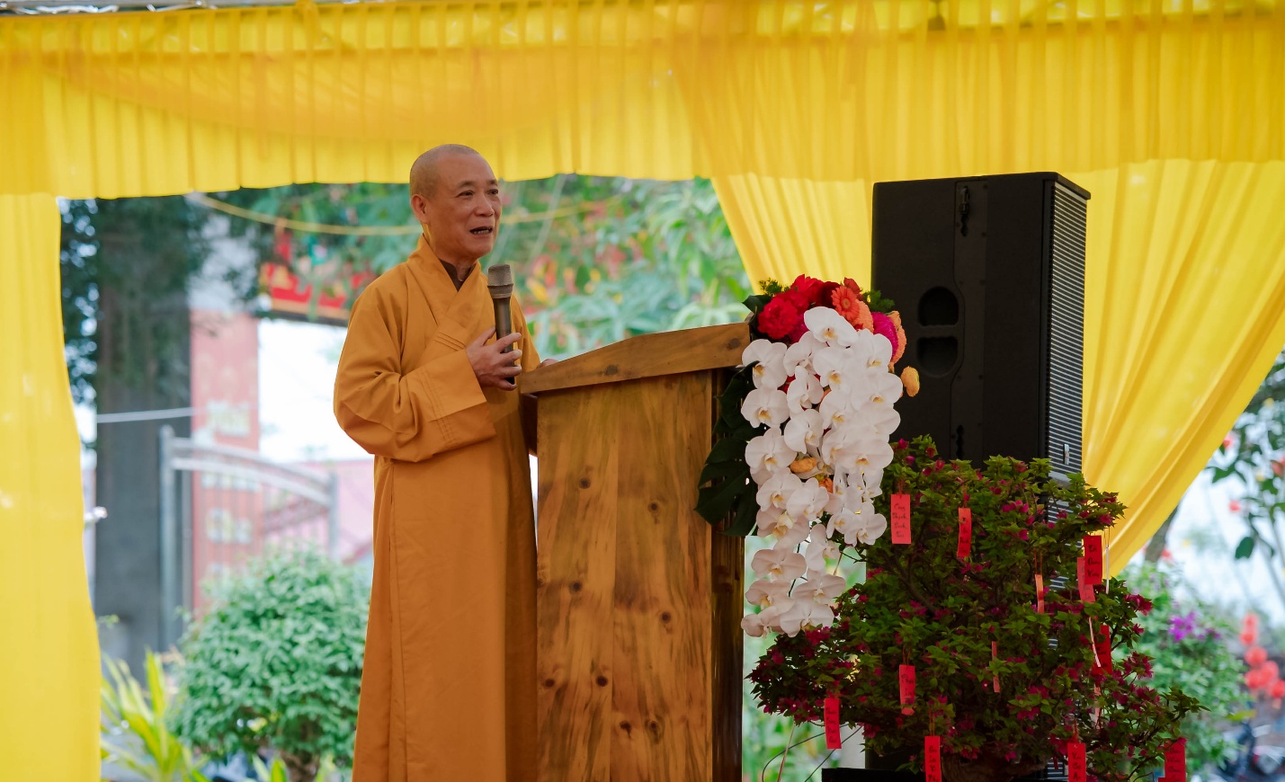 C:\Users\admin\Downloads\ANH TIN 5.3\DSC00846.jpg