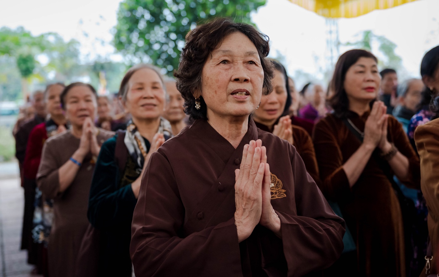 C:\Users\admin\Downloads\ANH TIN 5.3\DSC00880.jpg